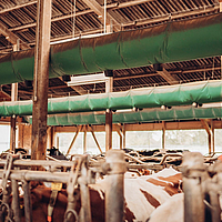 Tube d'aération Lubratec Tube Air dans une étable à vaches pour améliorer le climat de l'étable