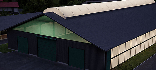 Une exposition naturelle et active pour des porcs en bonne santé Porcs en porcherie avec lumière naturelle