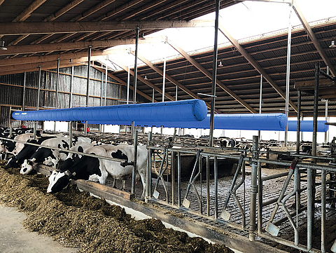 Trois tubes de refroidissement Lubratec comme ventilation d'étable dans une étable à vaches