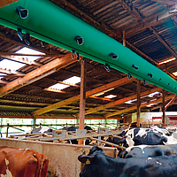 Lubratec Tube Cool comme système de ventilation par tuyaux au plafond d'une étable à vaches