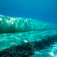 Photo sous-marine latérale d'un tube SoilTain
