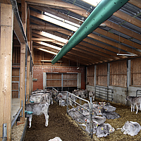 Vue de dessous sur un Tube Air au plafond d'une grande étable à vaches