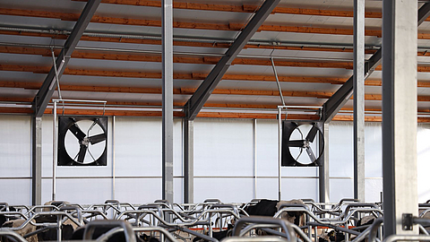 Deux ventilateurs axiaux Lubratec installés dans une étable à vaches
