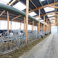 Parc de santé pour veaux avec tuyaux d'aération, rideaux et portes en textile