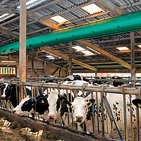 Vue de dessous latérale et éloignée du tuyau de ventilation Tube Air dans une étable à vaches
