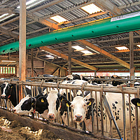 Vue de dessous latérale et éloignée du tuyau de ventilation Tube Air dans une étable à vaches