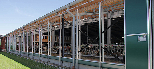 Ventilation de l'étable à vaches laitières Ventilation en spirale ouverte sur une étable laitière