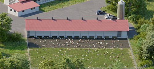 Couche de séparation Lubratec pour des conditions de sol idéales dans l'élevage de volailles Conditions de sol optimales grâce à la couche de séparation Lubratec dans l'élevage de volailles