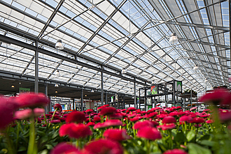 Serre avec écran enroulable UmbraTex Air pour un contrôle flexible de l'éclairage et la protection des plantes
