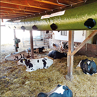 Tube Cool Lubratec fixé sur des poutres de soutien pour la ventilation de refroidissement de l'étable des vaches